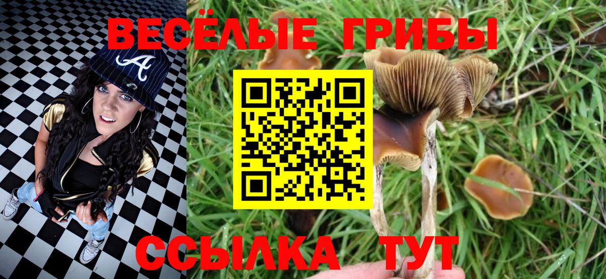Псилоцибиновые грибы прущие грибы  Псилоцибиновые грибы Psilocybine cubensis  Кольчугино  Вход с VPN 